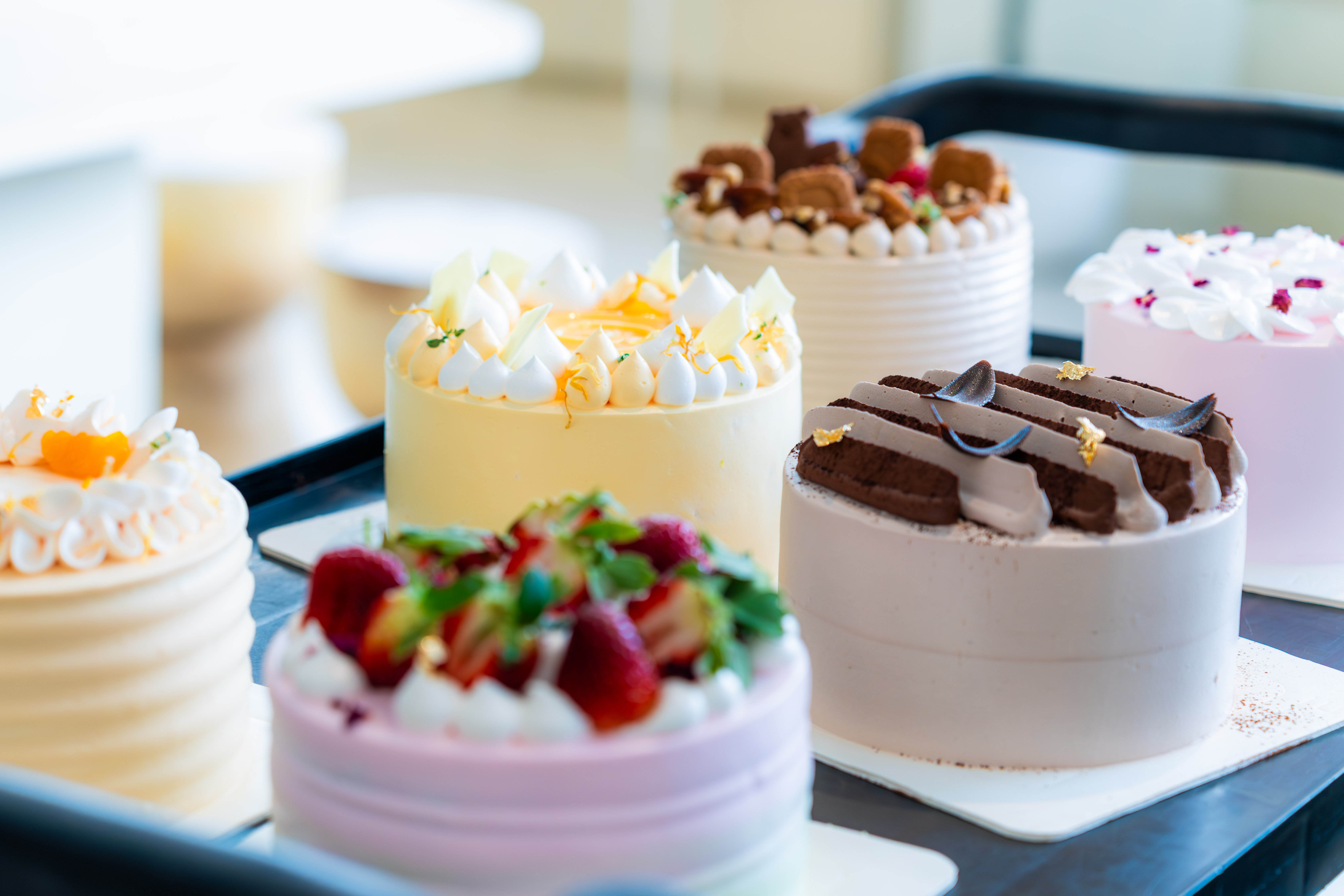 Enze_Photo_Aug (18 of 37).jpg