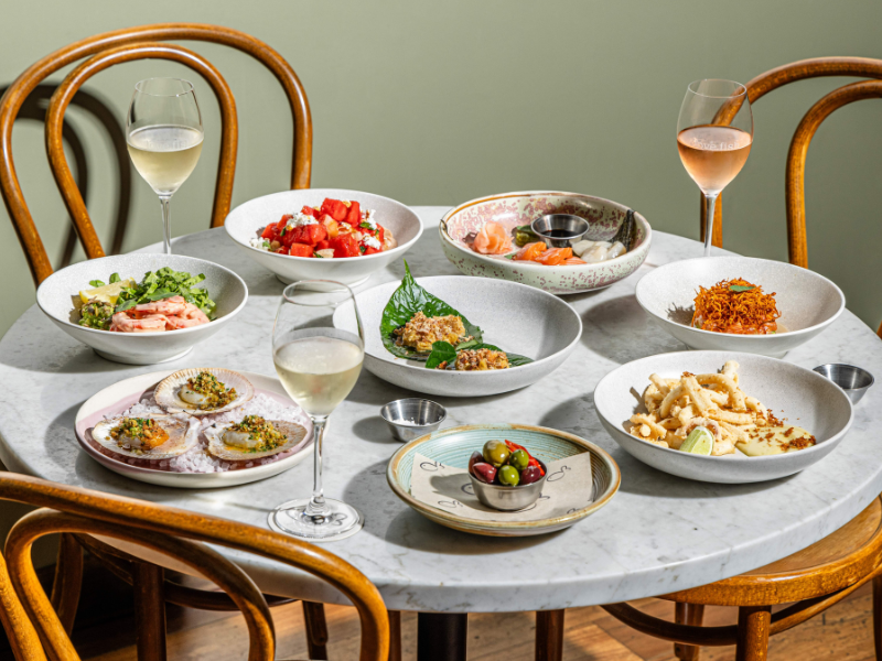 TSOB Directory header love fish (800 x 600 px).png