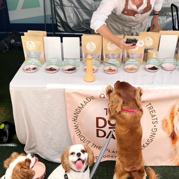 The Dog Days_BAM.png