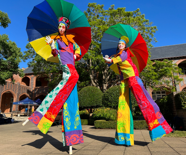 Toy Box Jesters_BAM.png